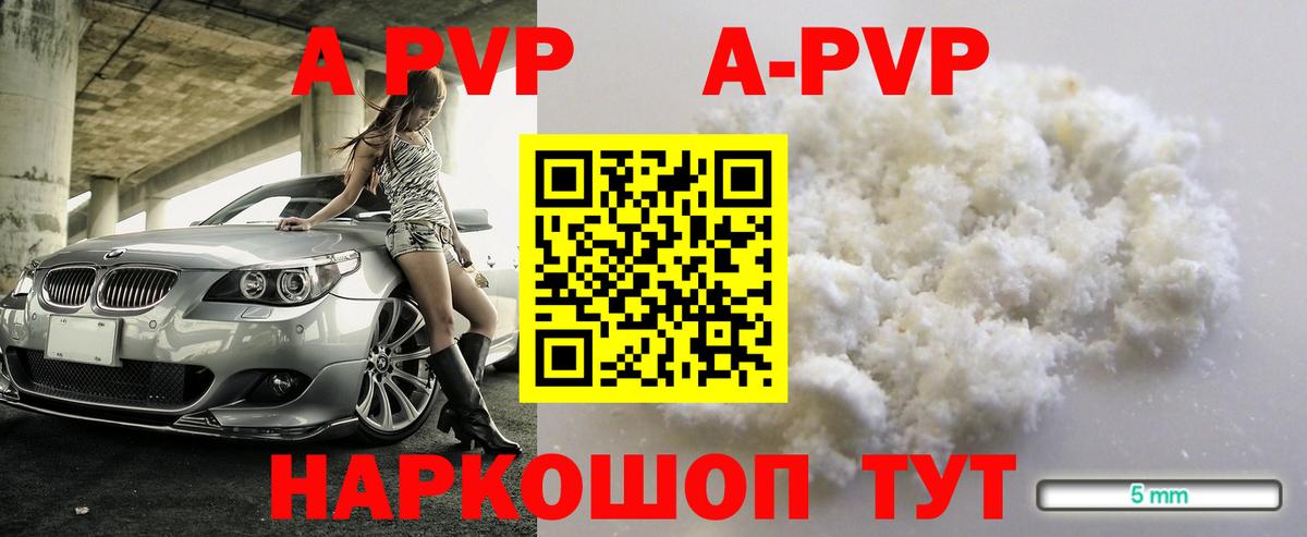 A PVP СК Будённовск