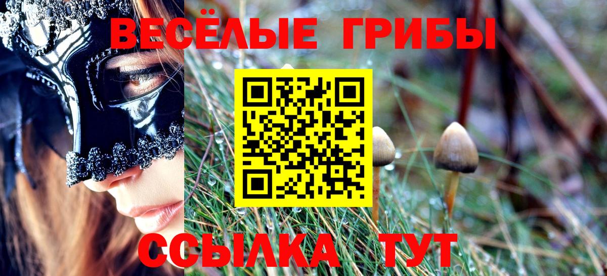 Псилоцибиновые грибы Magic Shrooms Будённовск