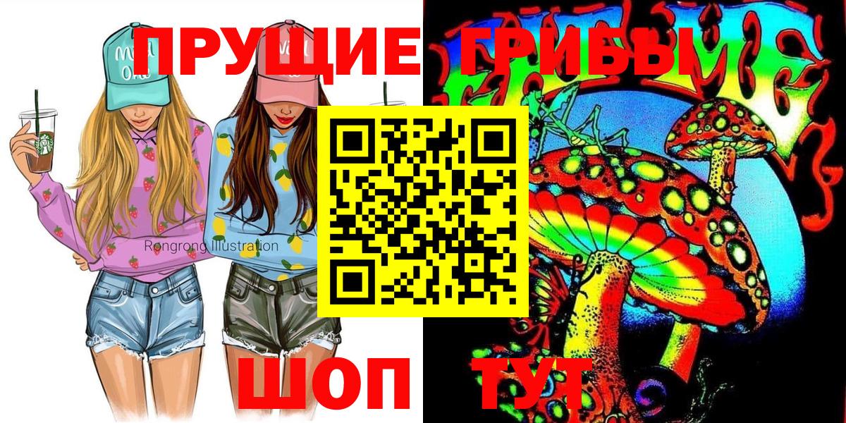 Будённовск  Псилоцибиновые грибы прущие грибы  Вход с VPN  цена   Псилоцибиновые грибы MAGIC MUSHROOMS 